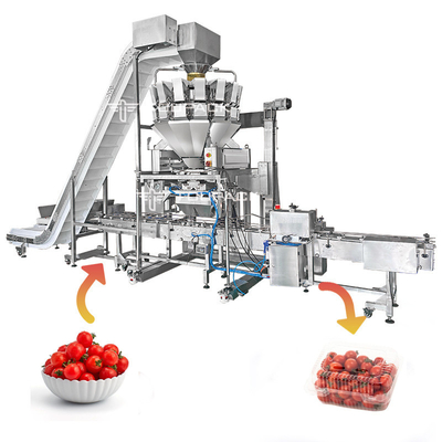 Do tomate automático da máquina de enchimento 110BPM da plataforma ajustável sistema de encadernação de peso e de encaixotamento