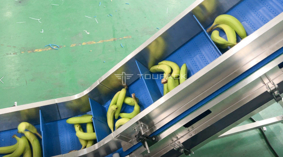 Fabrica Indústria Máquina de embalagem para frutas de banana