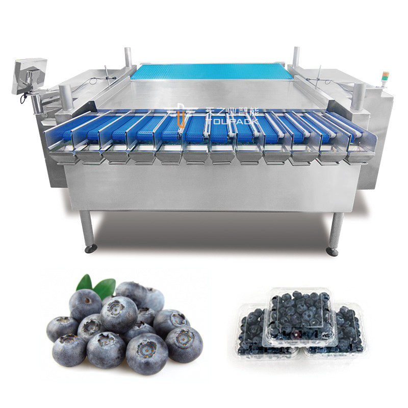 Máquina automática de embalagem de caixas de plástico de frutas da paixão Kumquat Winter Jujube Blackberry Weighing Filling Packaging Line