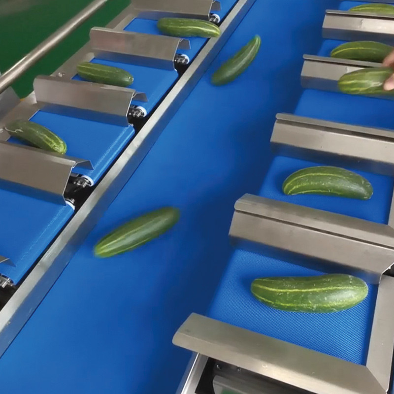 mangue seco Automático Multi-estação Cinturão transportador Aquático Mar Pepino Filé de peixe de mesa Peso alvo contrapeso Máquina