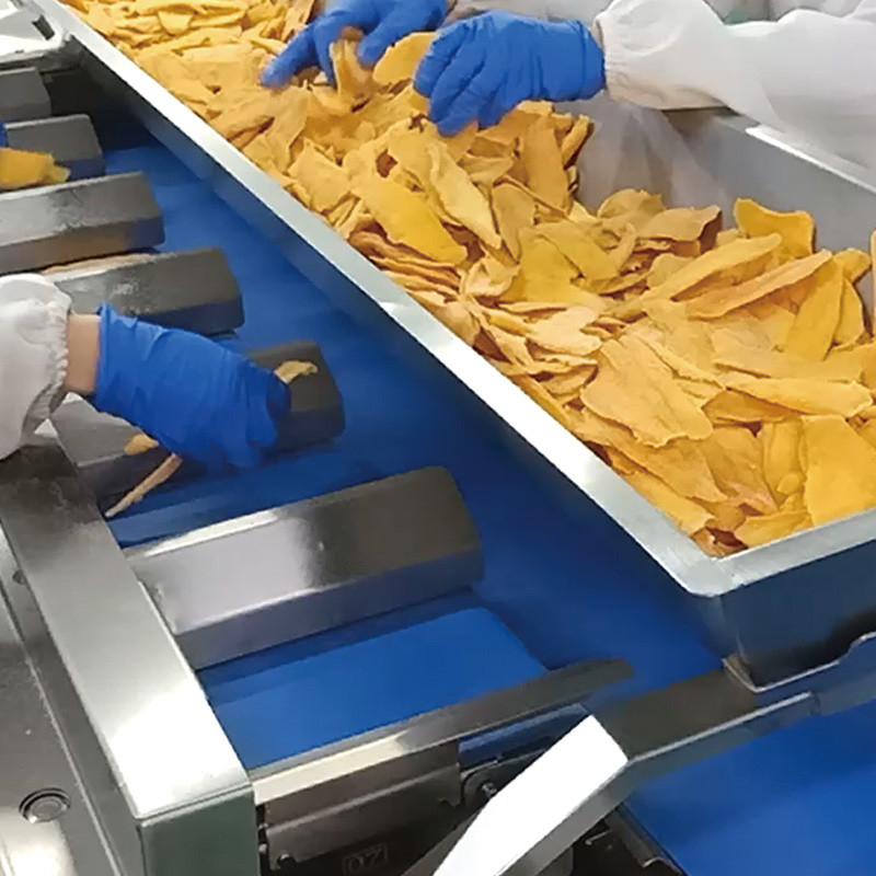 mangue seco Automático Multi-estação Cinturão transportador Aquático Mar Pepino Filé de peixe de mesa Peso alvo contrapeso Máquina