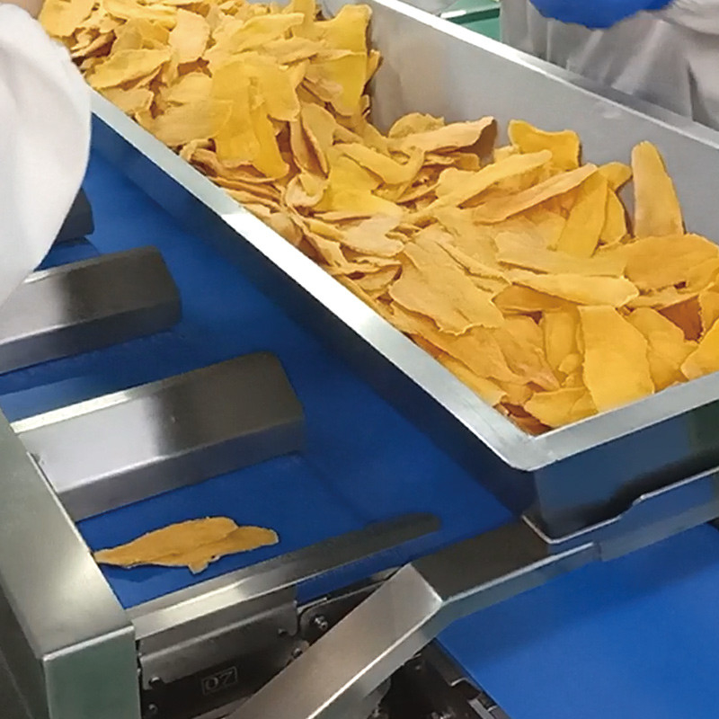mangue seco Automático Multi-estação Cinturão transportador Aquático Mar Pepino Filé de peixe de mesa Peso alvo contrapeso Máquina