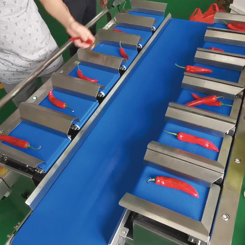 mangue seco Automático Multi-estação Cinturão transportador Aquático Mar Pepino Filé de peixe de mesa Peso alvo contrapeso Máquina
