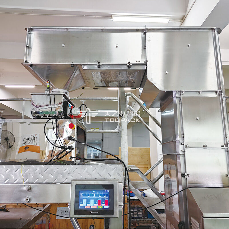 Máquina de embalagem de pó de especiarias 100g 200g 500g Equipamento de embalagem de pó de pimenta Máquina de enchimento e selagem de pó