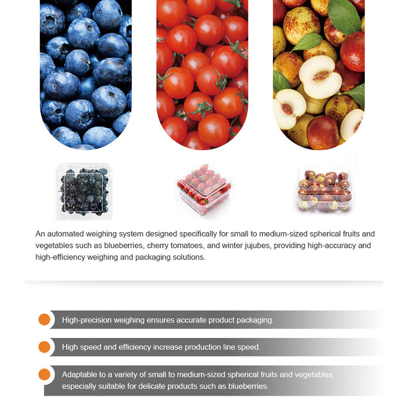 Linha de empacotamento automática da selagem da bandeja vegetal do fruto do tomate cereja do pesador linear com sistema de peso da elevada precisão