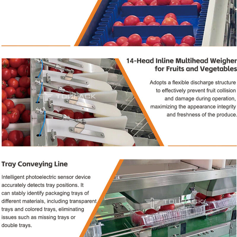 Linha de empacotamento automática da selagem da bandeja vegetal do fruto do tomate cereja do pesador linear com sistema de peso da elevada precisão