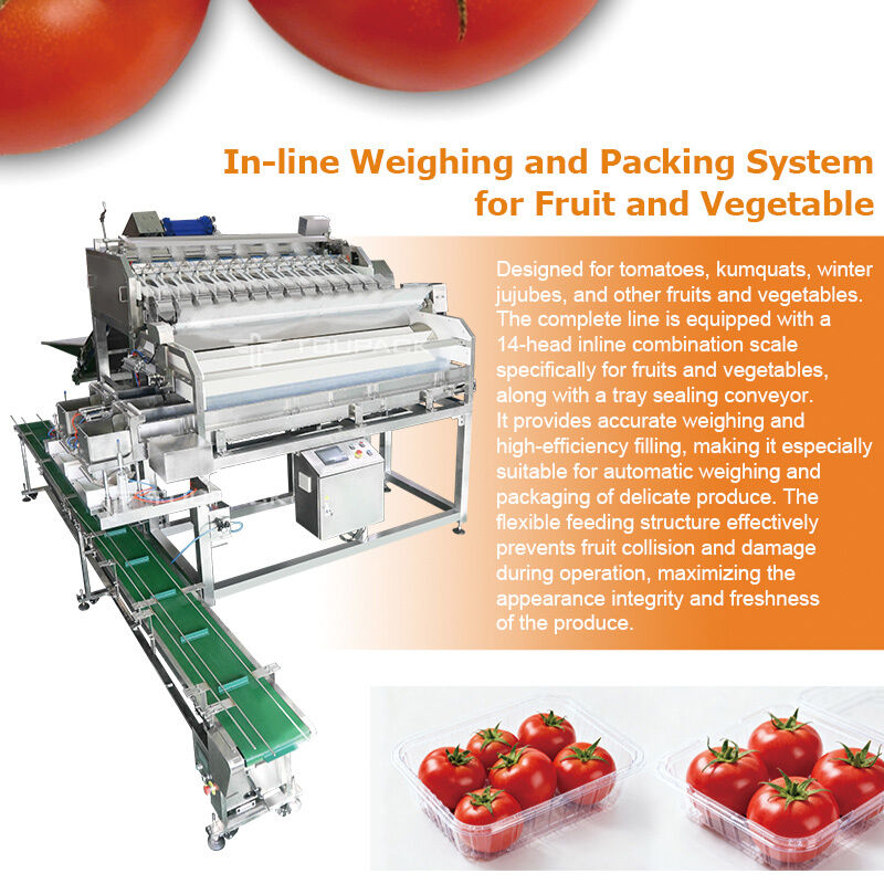 Linha de empacotamento automática da selagem da bandeja vegetal do fruto do tomate cereja do pesador linear com sistema de peso da elevada precisão