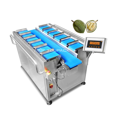 O Durian secado congelado secou o tipo manual da correia do equipamento da combinação do pesador de Multihead do fruto das manga
