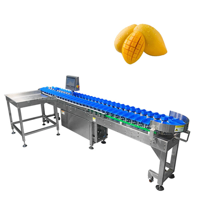 304 de aço inoxidável máquina de classificação automática do tamanho para a classificação de vegetais do fruto da manga