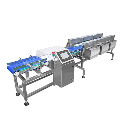 Máquina de classificação de peso por correia transportadora automática Máquina transportadora industrial de alimentos