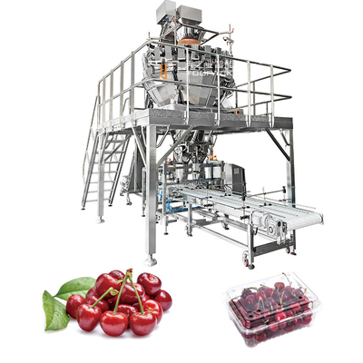 Máquina automática de embalagem de frutas e vegetais cenoura cítricos framboesa Nectarinas bandeja horizontal