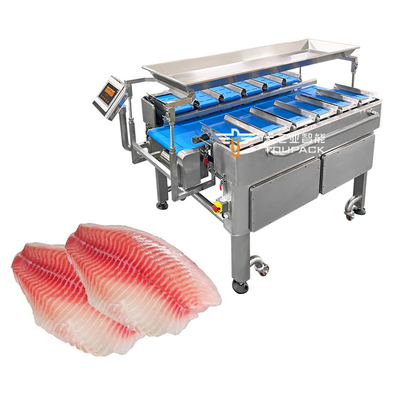 Sistema de Pesagem Multi-cabeças com Esteira de Carregamento Automático e Robô Delta para Carne