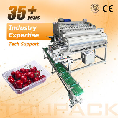 Linha de empacotamento automática da selagem da bandeja vegetal do fruto do tomate cereja do pesador linear com sistema de peso da elevada precisão