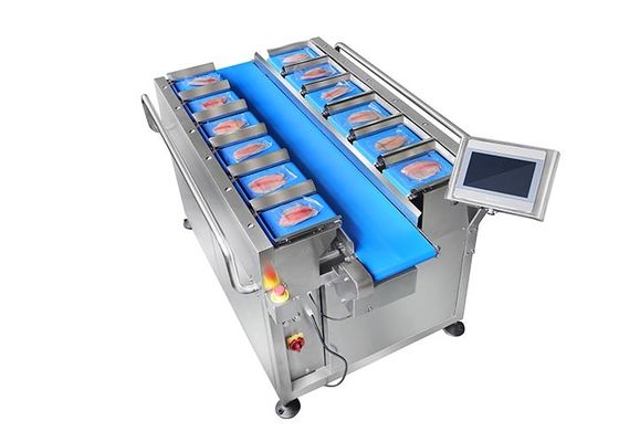 12 semi automáticos pesador linear principal da combinação