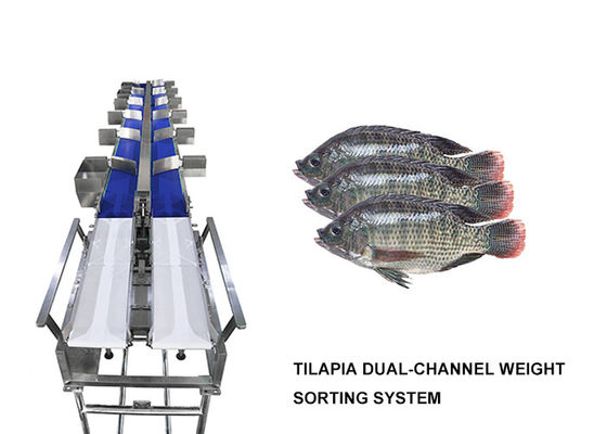 Máquina impermeável do classificador de Multihweight de 12 categorias para peixes de alimentos frescos/salsicha/gema