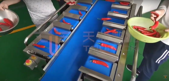 Pesador da correia de Chili Carrot Food Grade Siemens para o produto irregular