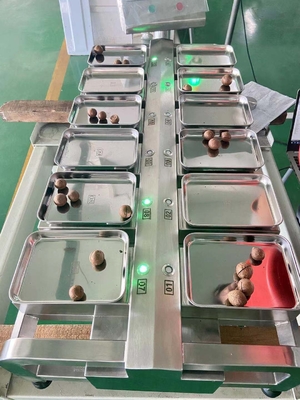 Escala de peso Tabletop 304 de aço inoxidável da cabeça do pesador 12 da combinação do alimento
