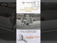 Linha de embalagem cadeia da caixa da palma de data da personalização de fabricação automática da produção da máquina de enchimento do grânulo