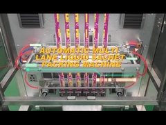 Máquina de embalagem de selo traseiro multipista TOUPACK Máquina de embalagem de pó granulado líquido