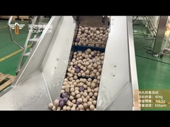 Sistema de pesagem e embalagem de bolas de carne congeladas TOUPACK