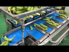 Fabrica Indústria Máquina de embalagem de rede de malha semi-automática