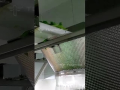 Máquina de embalagem multi-cabeça para pesagem de saladas