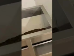 Máquina de enchimento de grãos de café