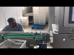 Máquina de inspecção por raios X eletrónica automatizada para a indústria alimentar Sistema de inspecção por raios X