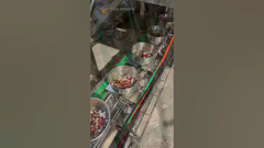 Máquina de Embalagem VFFS para Alimentos de Papagaio, Alimentos para Animais de Estimação, Nozes, Grânulos e Frutas Liofilizadas para Frutas Secas