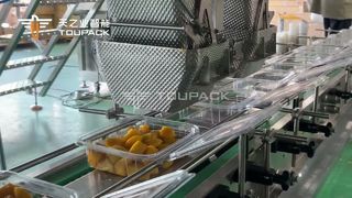 Linha automática de pesagem e boxe de manga em cubos | 50 caixas/min | TOUPACK