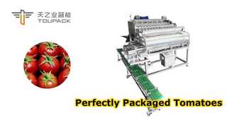 Sistema automatizado de pesagem e embalagem de alta eficiência para tomate cereja e frutas pequenas